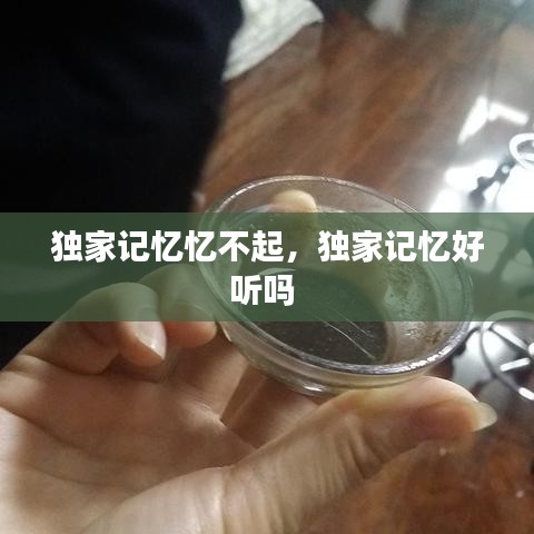 独家记忆忆不起，独家记忆好听吗 