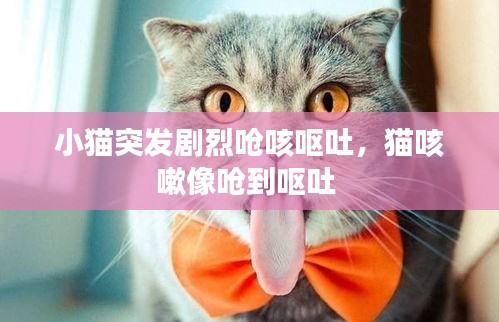 小猫突发剧烈呛咳呕吐，猫咳嗽像呛到呕吐 