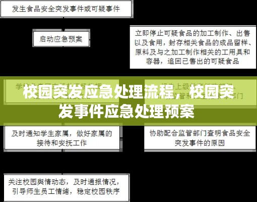 校园突发应急处理流程，校园突发事件应急处理预案 