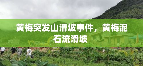 黄梅突发山滑坡事件，黄梅泥石流滑坡 