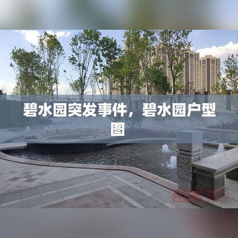 碧水园突发事件，碧水园户型图 