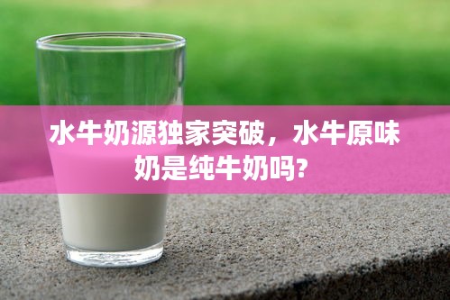 水牛奶源独家突破，水牛原味奶是纯牛奶吗? 