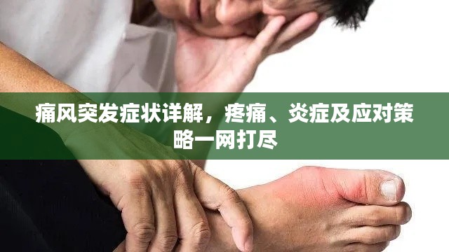 痛风突发症状详解，疼痛、炎症及应对策略一网打尽