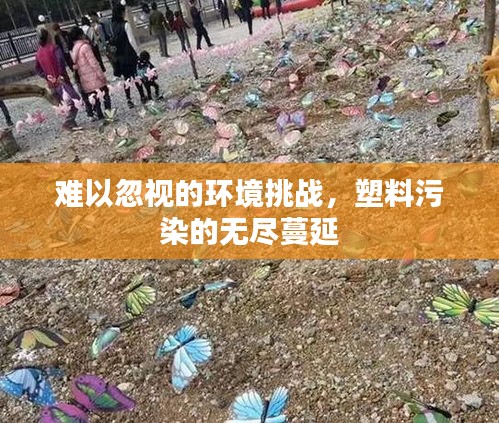 难以忽视的环境挑战，塑料污染的无尽蔓延