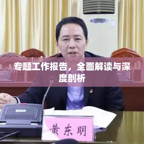 专题工作报告，全面解读与深度剖析