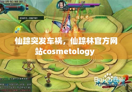 仙踪突发车祸，仙踪林官方网站cosmetology 