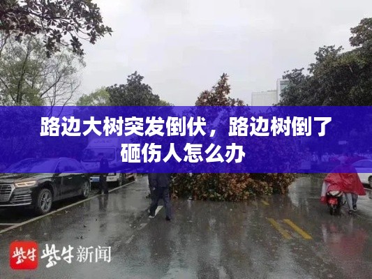 路边大树突发倒伏，路边树倒了砸伤人怎么办 