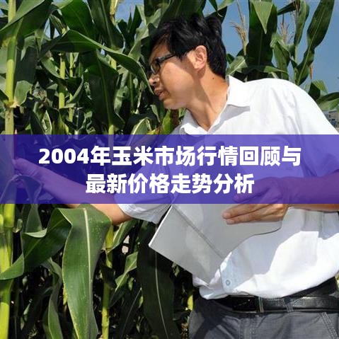 2004年玉米市场行情回顾与最新价格走势分析