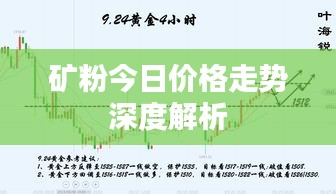 矿粉今日价格走势深度解析