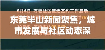 东莞半山新闻聚焦，城市发展与社区动态深度解读