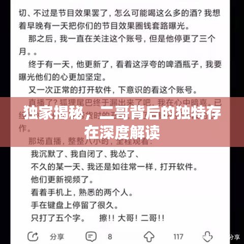 独家揭秘，二哥背后的独特存在深度解读