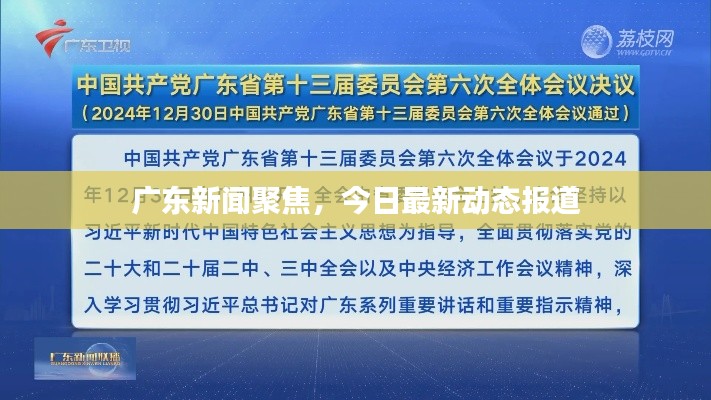 广东新闻聚焦，今日最新动态报道