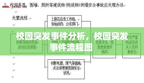 校园突发事件分析，校园突发事件流程图 