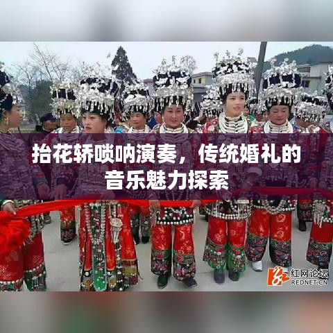 抬花轿唢呐演奏，传统婚礼的音乐魅力探索