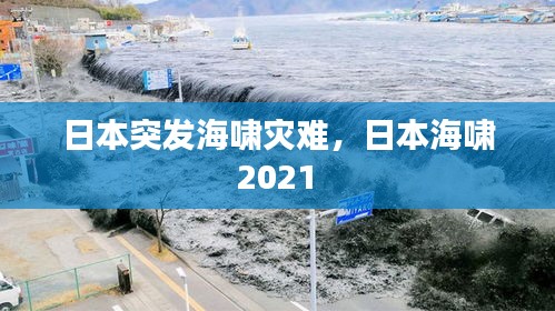 日本突发海啸灾难，日本海啸 2021 