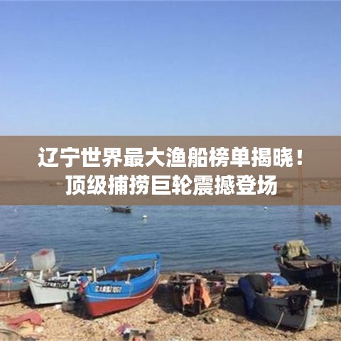 辽宁世界最大渔船榜单揭晓！顶级捕捞巨轮震撼登场