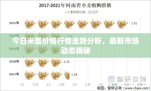 今日米面价格行情走势分析，最新市场动态揭秘