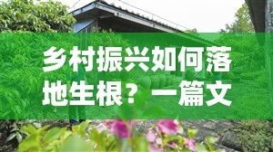 乡村振兴如何落地生根？一篇文章带你了解