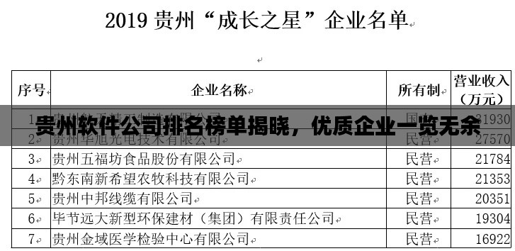 贵州软件公司排名榜单揭晓，优质企业一览无余