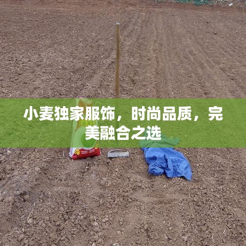 小麦独家服饰，时尚品质，完美融合之选