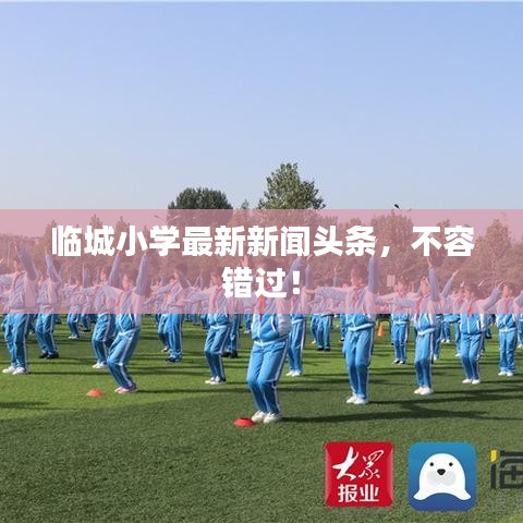 临城小学最新新闻头条，不容错过！