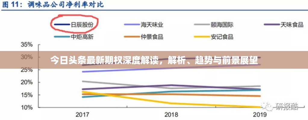 今日头条最新期权深度解读，解析、趋势与前景展望