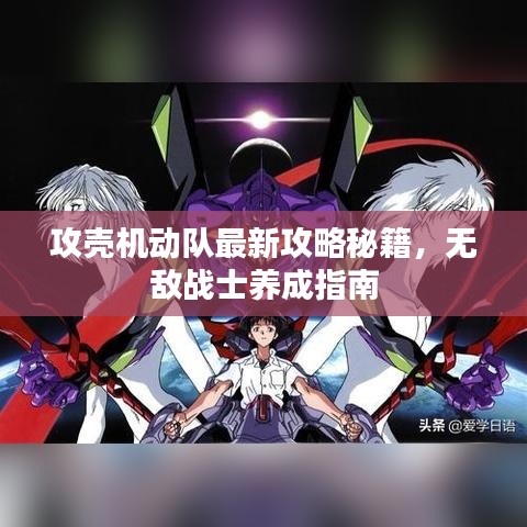 攻壳机动队最新攻略秘籍，无敌战士养成指南