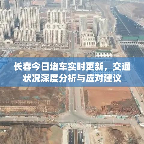 长春今日堵车实时更新，交通状况深度分析与应对建议