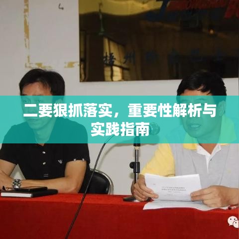 二要狠抓落实，重要性解析与实践指南