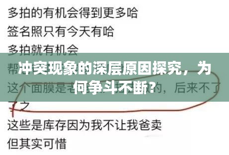 冲突现象的深层原因探究，为何争斗不断？