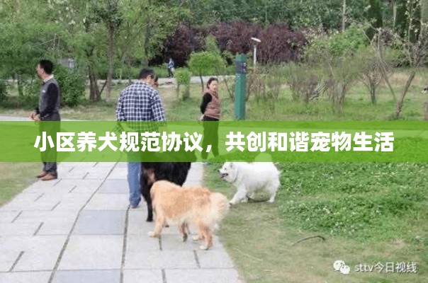 小区养犬规范协议，共创和谐宠物生活