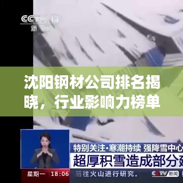 沈阳钢材公司排名揭晓，行业影响力榜单重磅出炉！