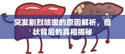 突发剧烈咳嗽的原因解析，症状背后的真相揭秘