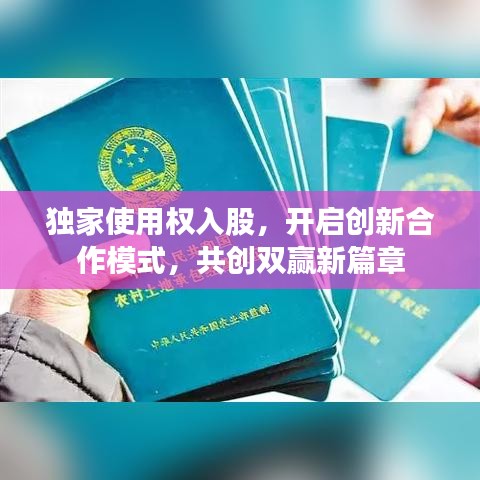 独家使用权入股，开启创新合作模式，共创双赢新篇章