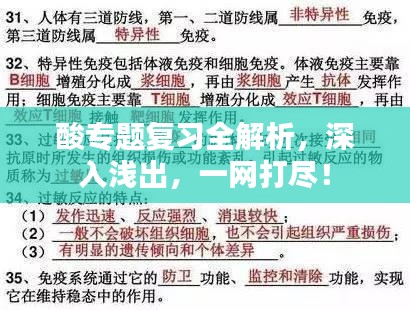 酸专题复习全解析，深入浅出，一网打尽！