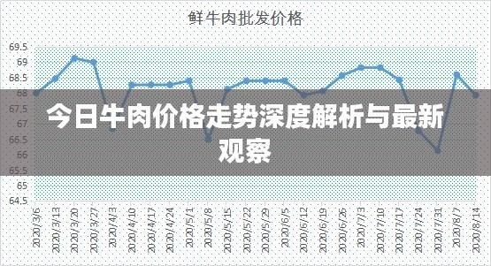 今日牛肉价格走势深度解析与最新观察