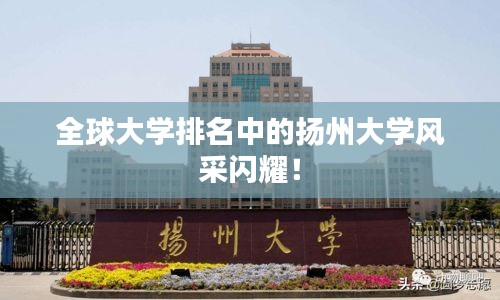 全球大学排名中的扬州大学风采闪耀！