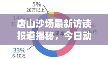 唐山沙场最新访谈报道揭秘，今日动态一网打尽