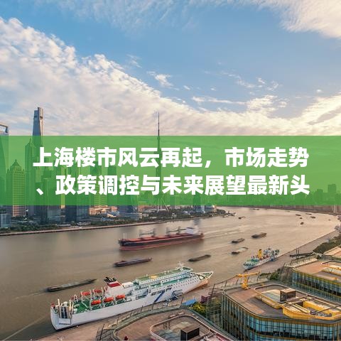 上海楼市风云再起，市场走势、政策调控与未来展望最新头条资讯