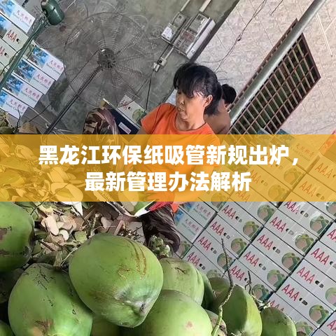 黑龙江环保纸吸管新规出炉，最新管理办法解析