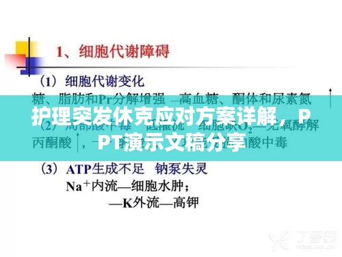 护理突发休克应对方案详解，PPT演示文稿分享