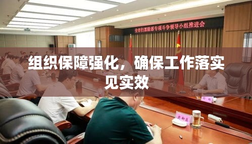 组织保障强化，确保工作落实见实效