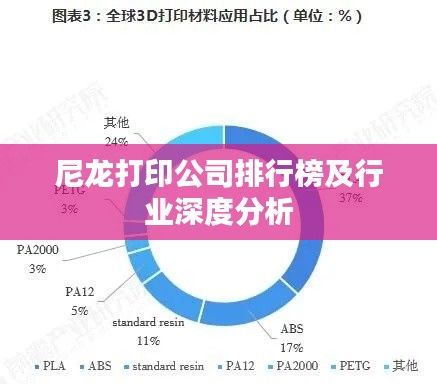 尼龙打印公司排行榜及行业深度分析