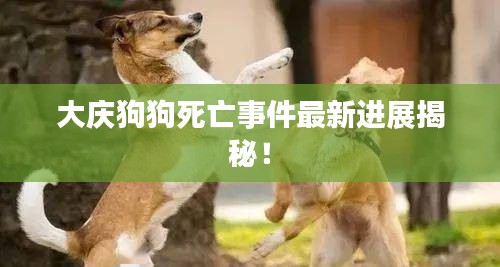 大庆狗狗死亡事件最新进展揭秘！