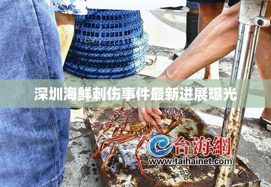 深圳海鲜刺伤事件最新进展曝光