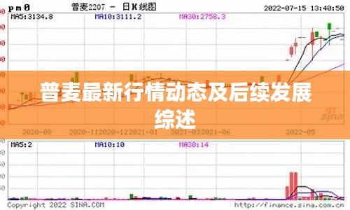 普麦最新行情动态及后续发展综述