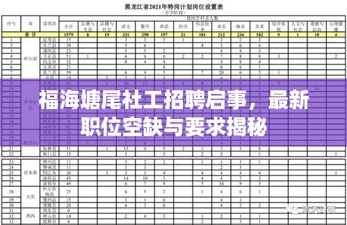 福海塘尾社工招聘启事，最新职位空缺与要求揭秘