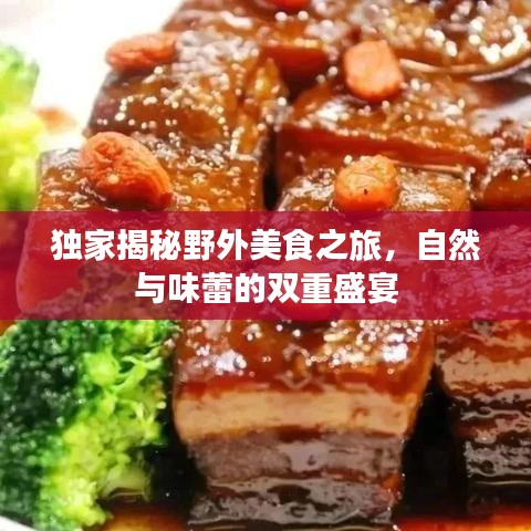 独家揭秘野外美食之旅，自然与味蕾的双重盛宴