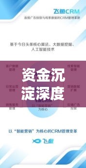 资金沉淀深度解析，影响及内涵探究