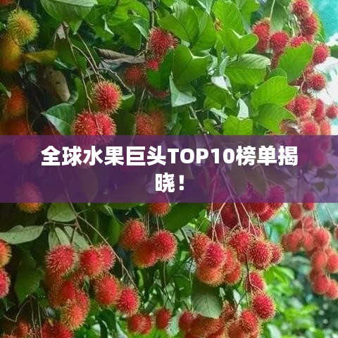 全球水果巨头TOP10榜单揭晓！